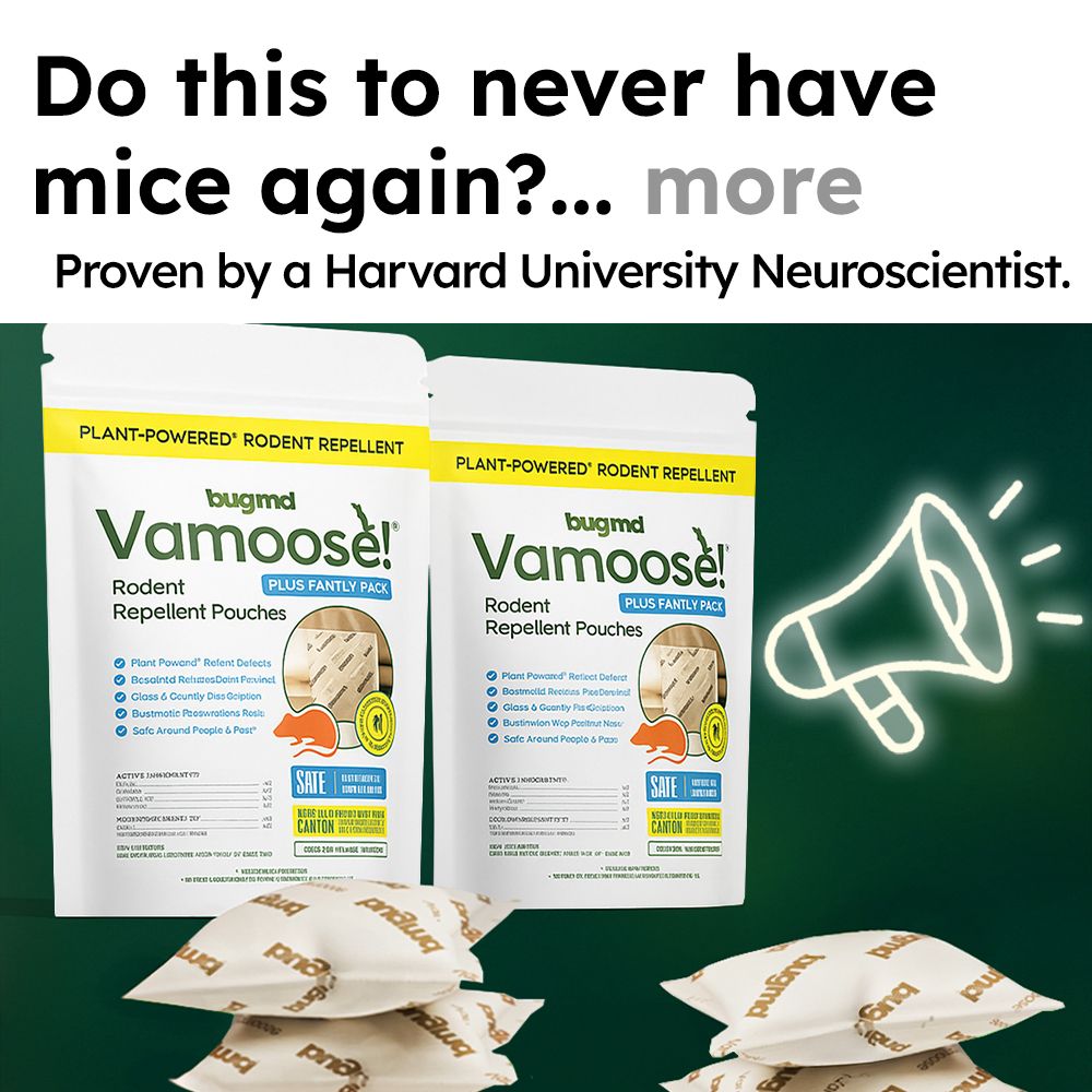 Mice Secrets Facebook ad