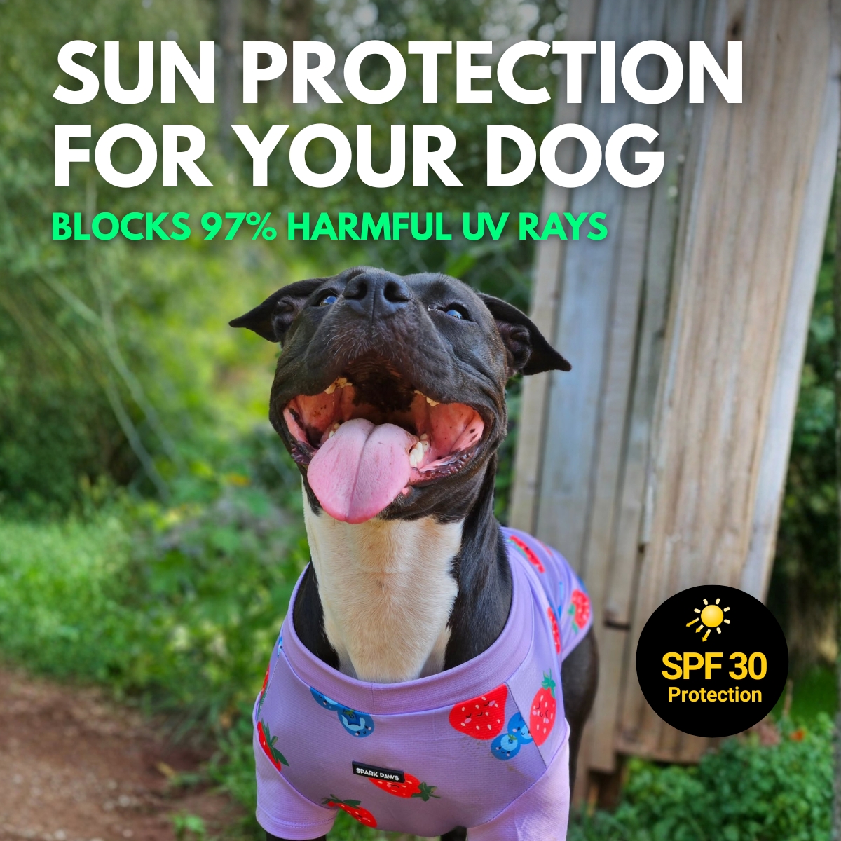 Spark Paws Facebook ad