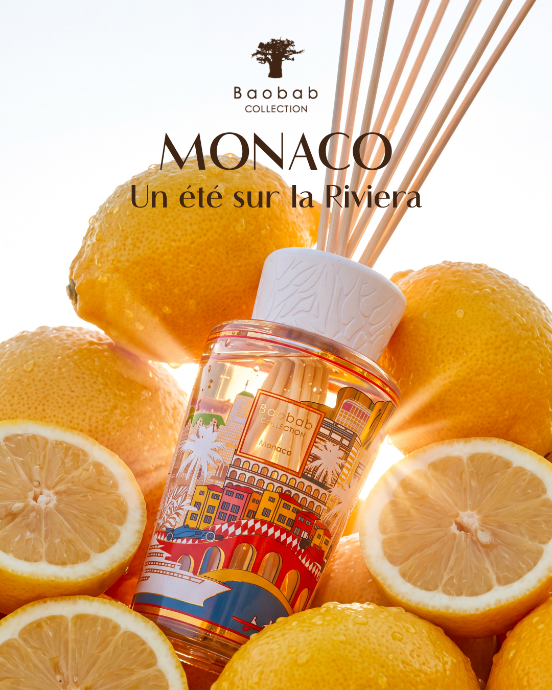 Baobab Collection Facebook ad