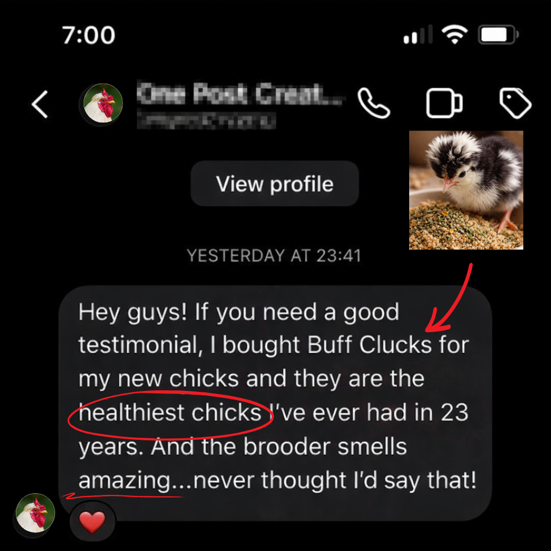 Buff Clucks Facebook ad