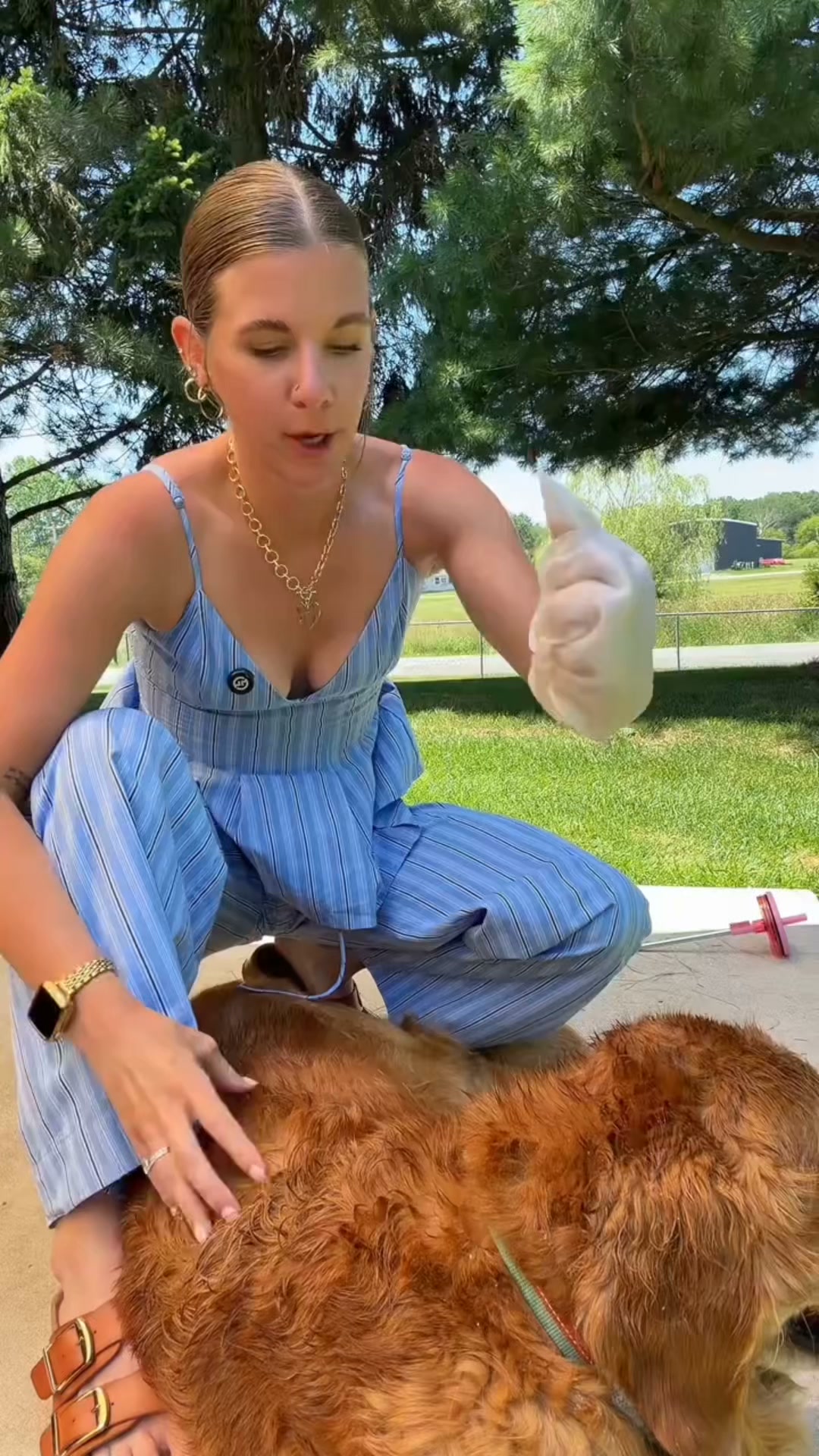 Nuzzl Facebook ad: The No-Fight Bath + FREE Paw Mitt
