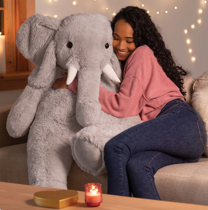 Vermont Teddy Bear Facebook ad