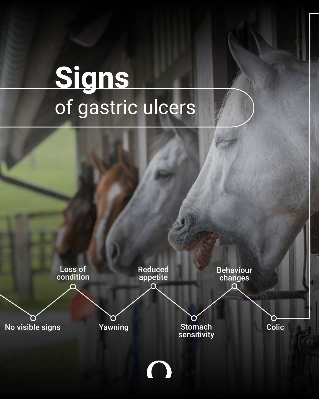 Audevard UK Facebook ad: Gastric ulcers: sometimes subtle signs