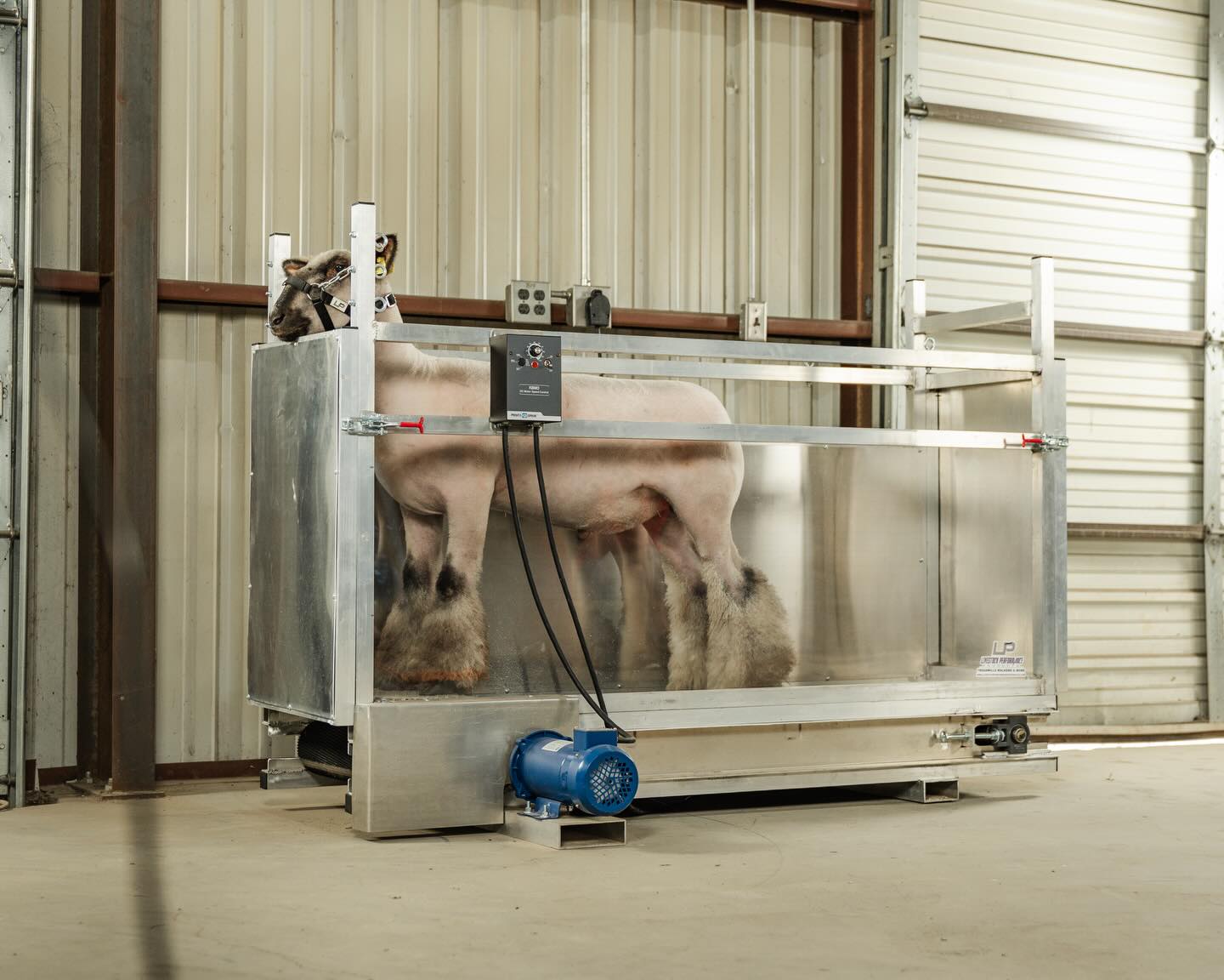 Livestock Performance Products Facebook ad: Treadmills