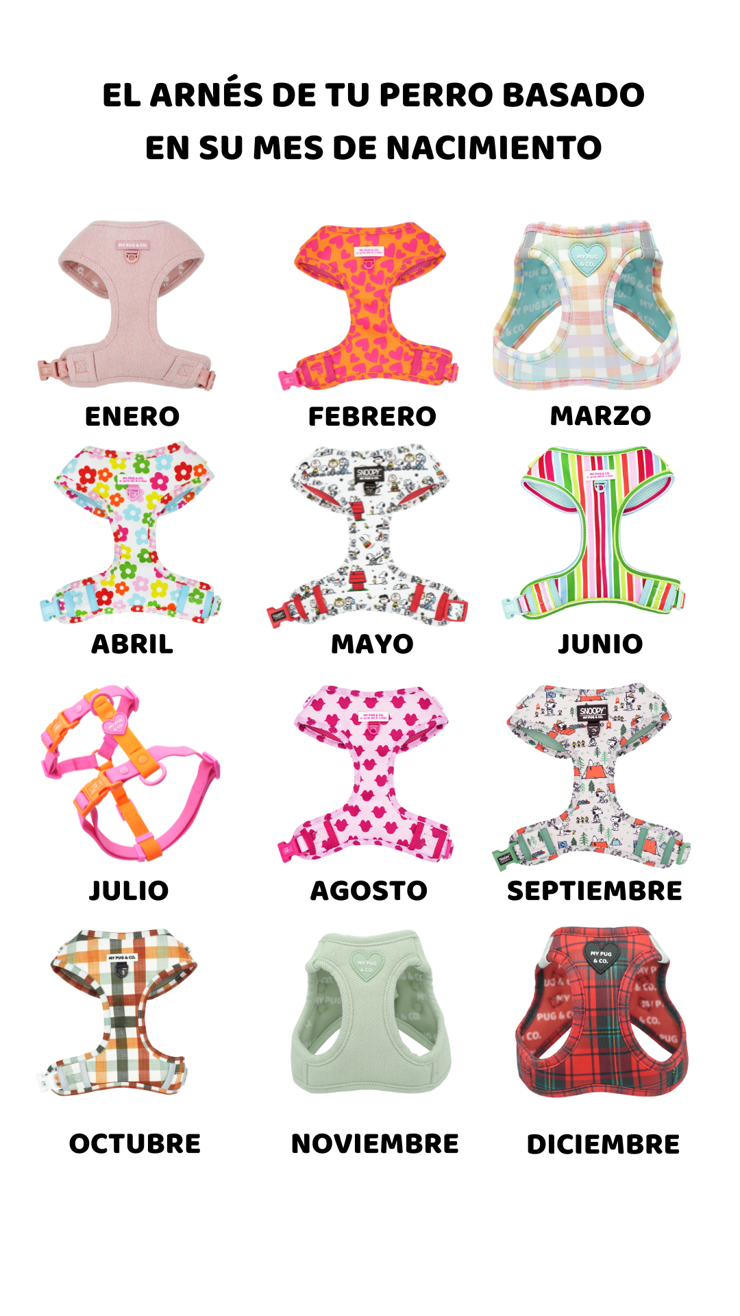 AGATHA RUIZ DE LA PRADA Facebook ad from Jun 29, 2026