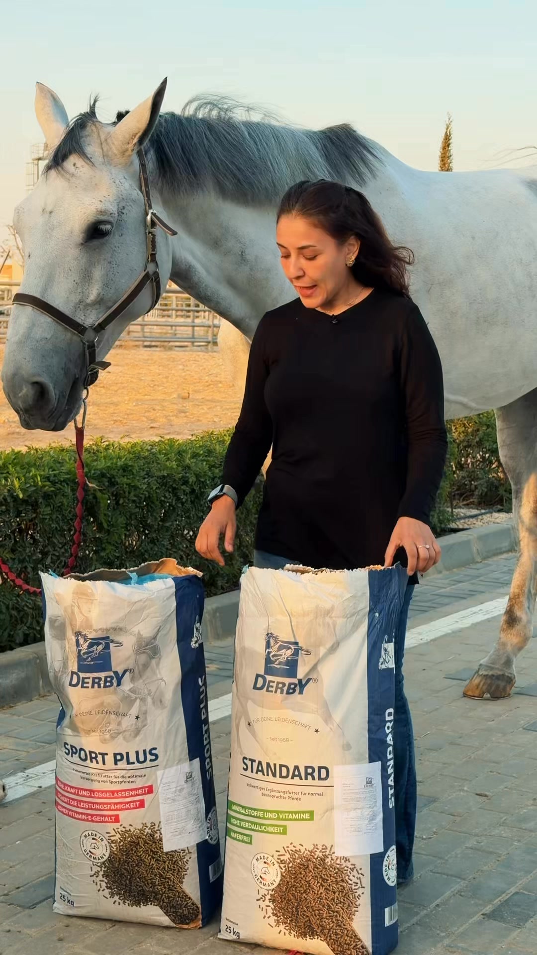 Smart Company for Horse feed Facebook ad: Derby horse feed | Best in the town | 01128336663