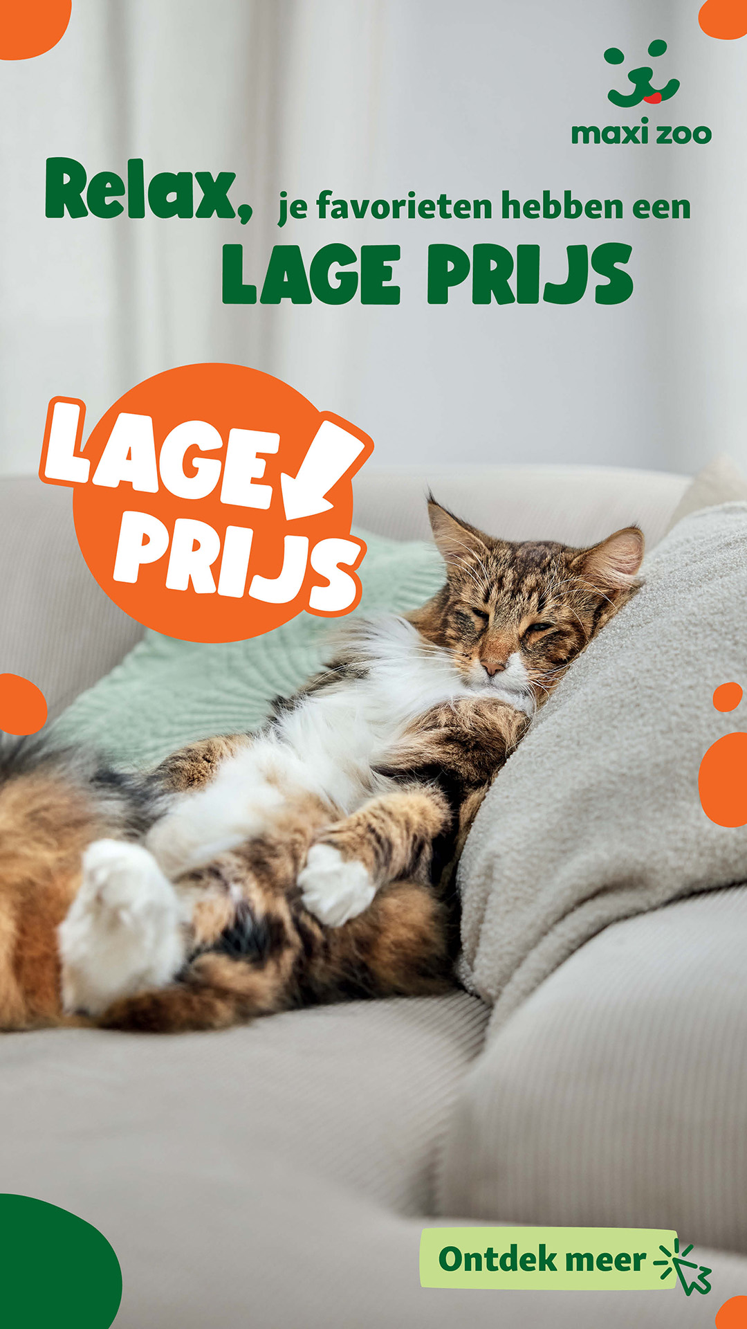 Maxi Zoo Belgium Facebook ad from Feb 2, 2026