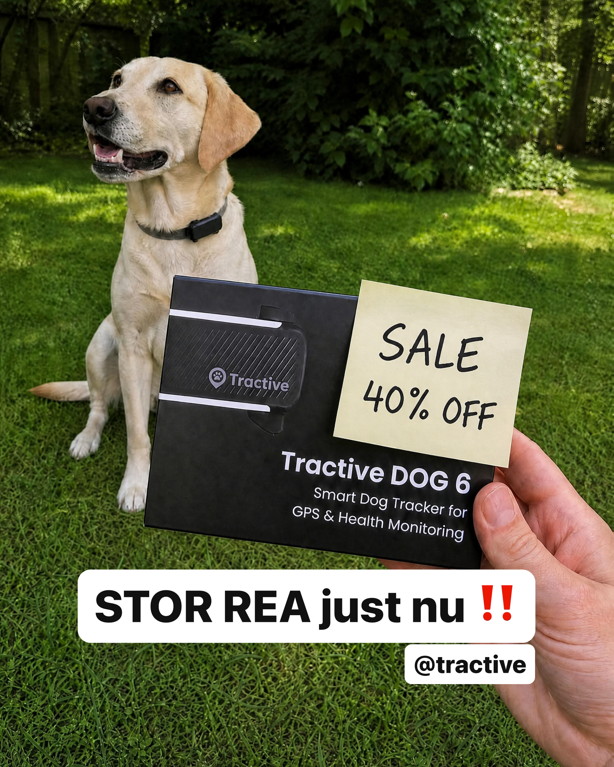 Tractive Facebook ad