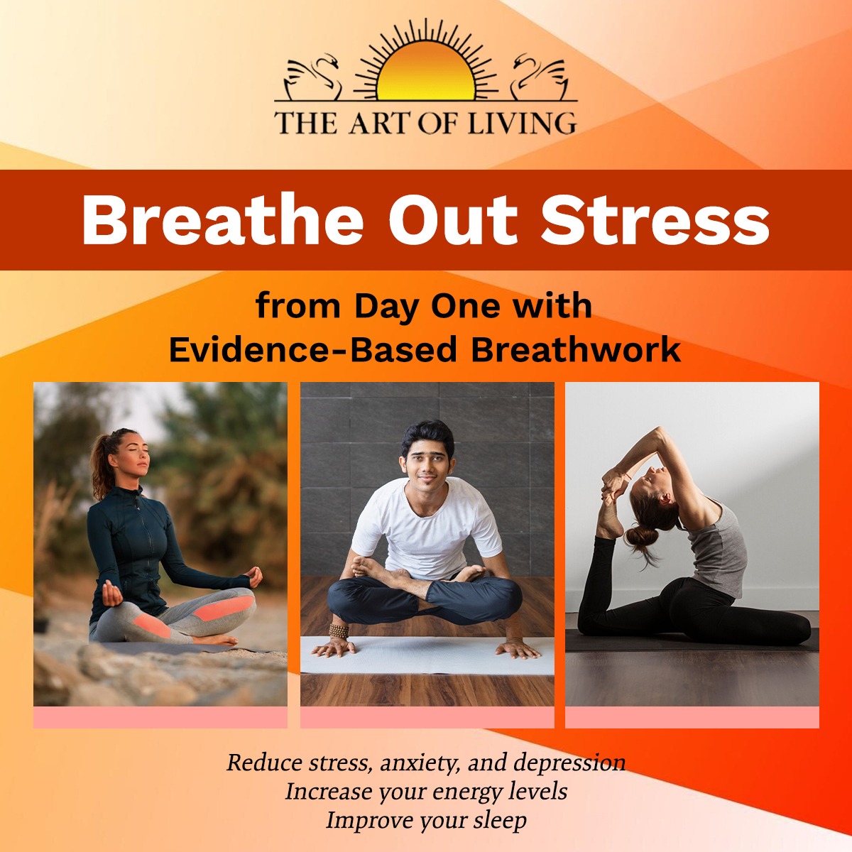 The Art of Living Facebook ad