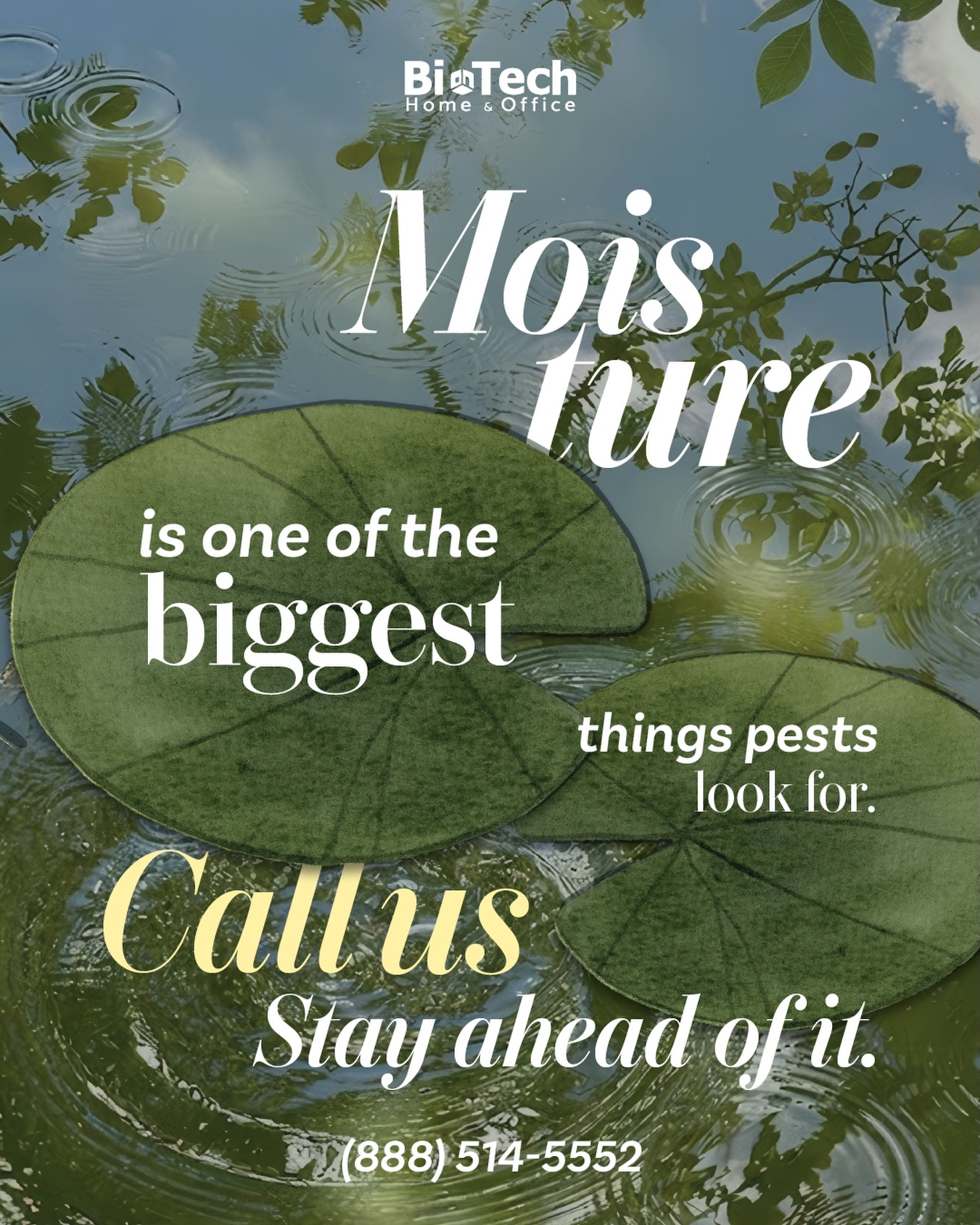 BioTech Pest Management Facebook ad: Most pests aren’t looking for much.