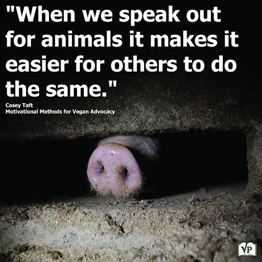 Animal Matters Facebook ad