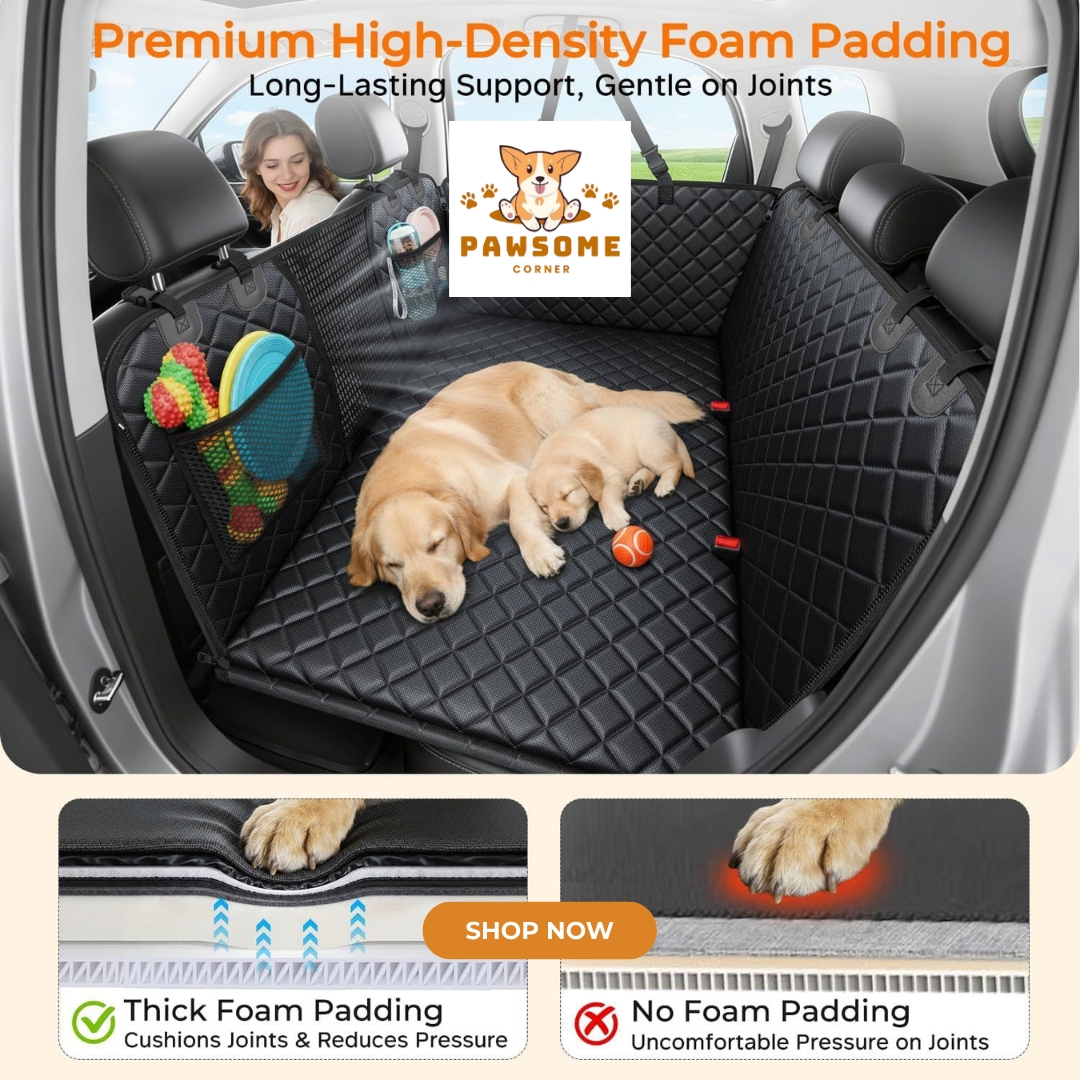 Paw Some Corner Facebook ad: Save 32% Today, Now Just $79.99