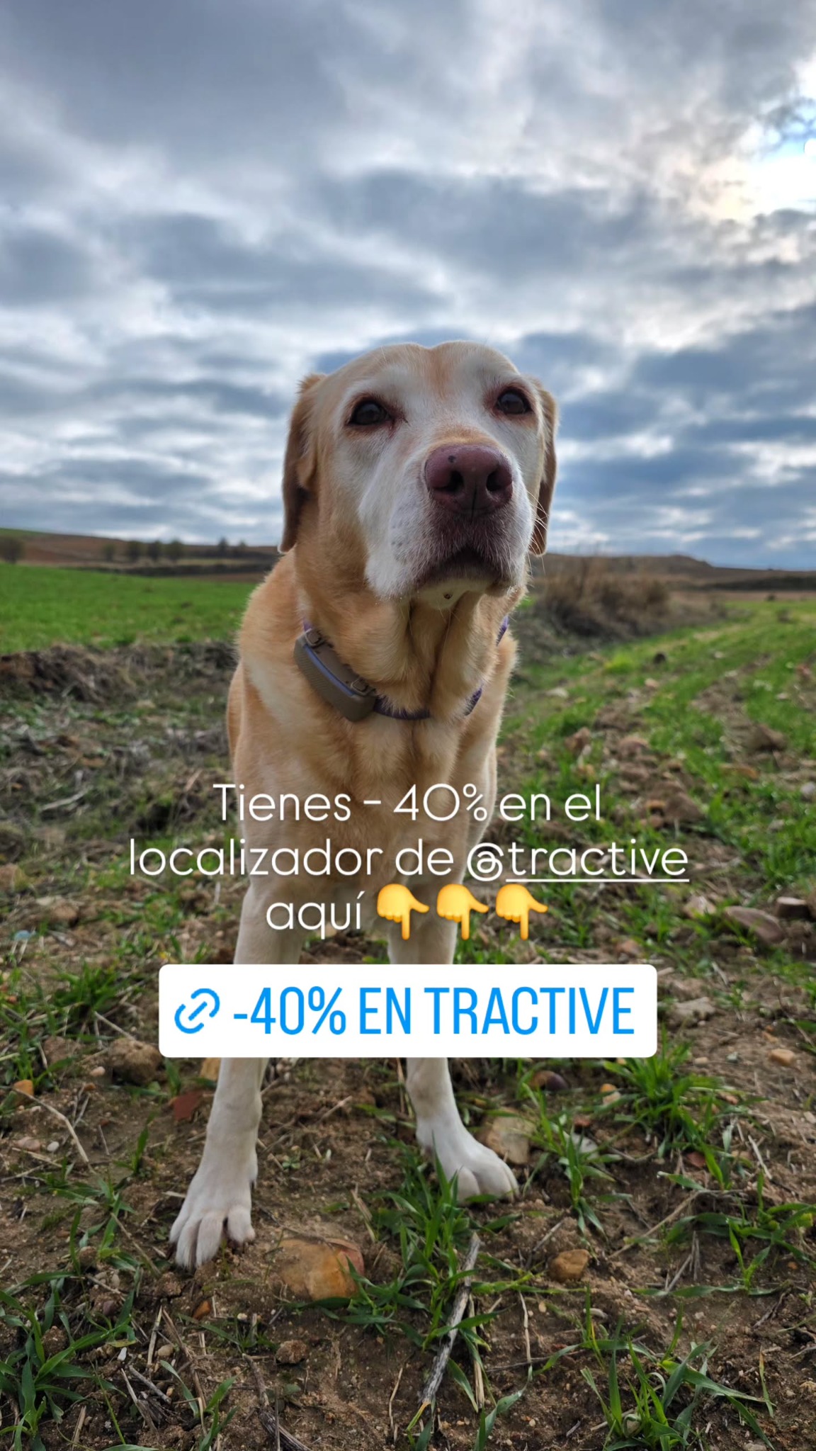 Tractive Facebook ad