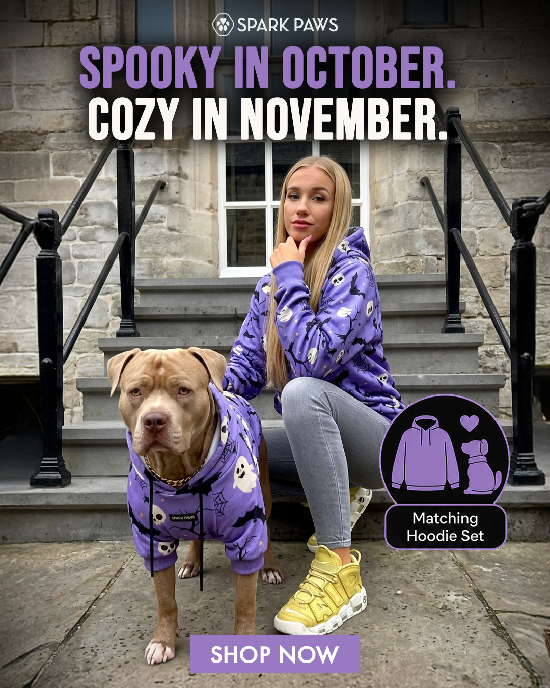 Spark Paws Facebook ad