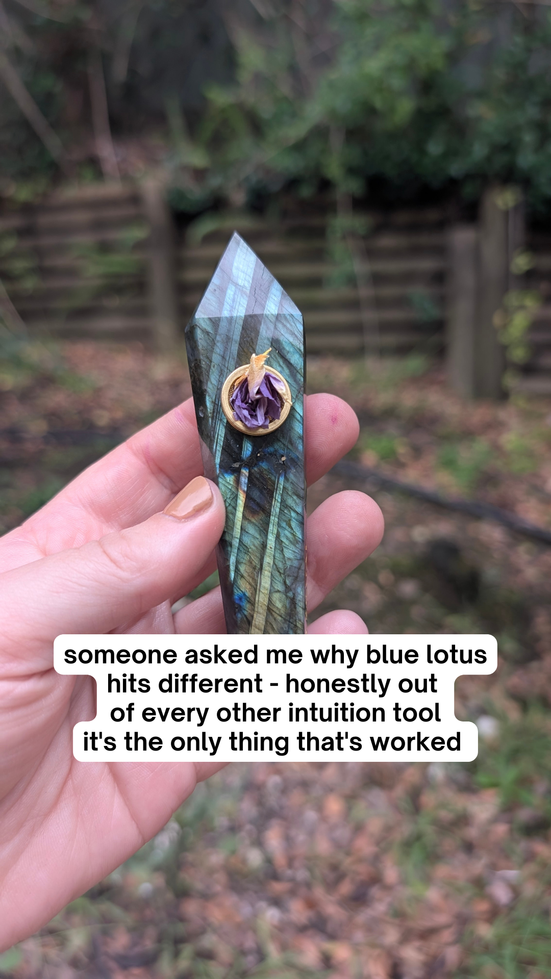 Ritual Oils Facebook ad