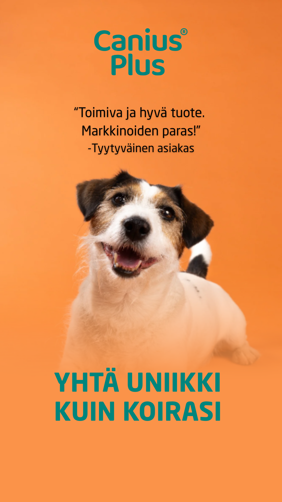 Vetcare Finland Facebook ad