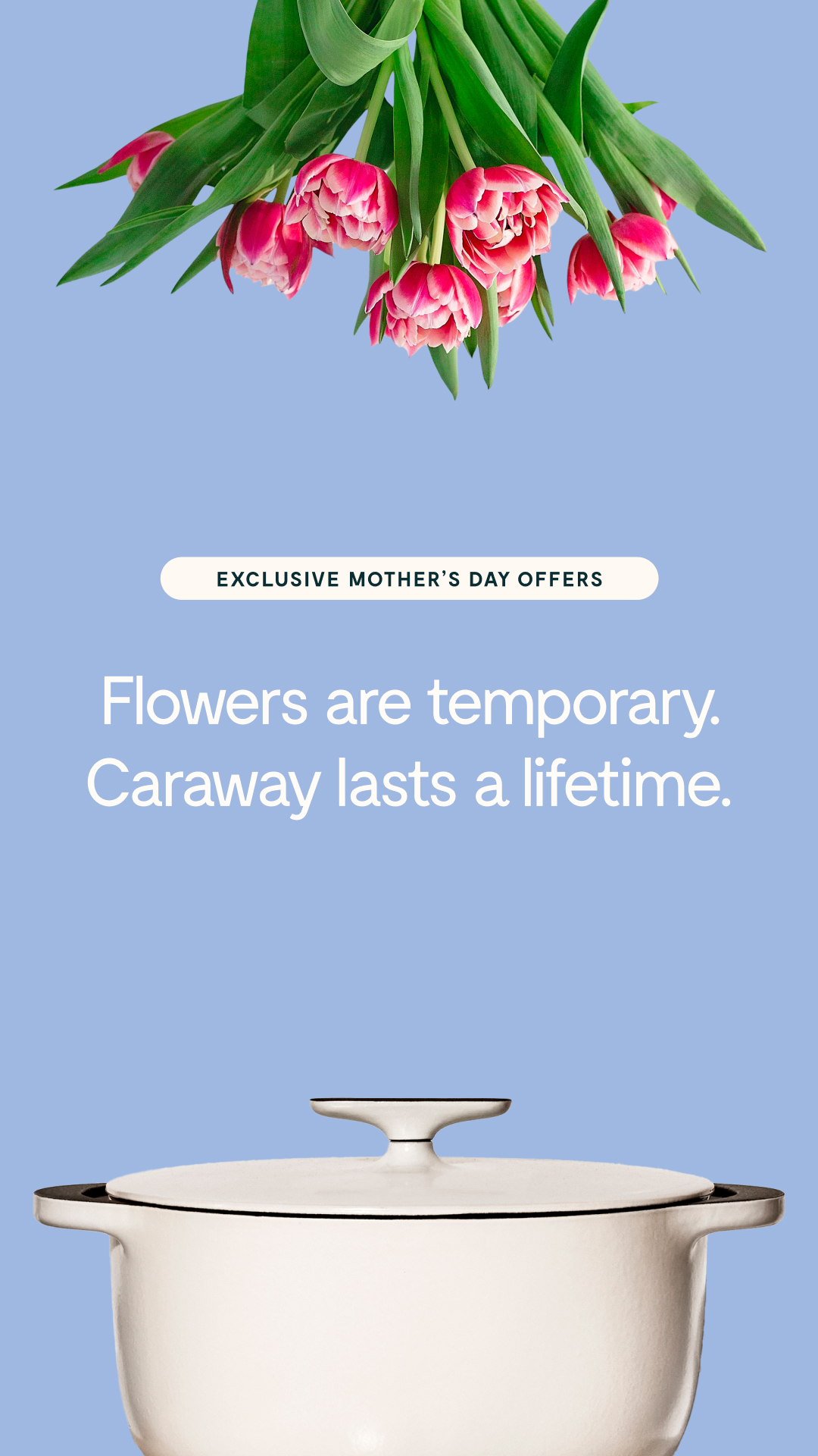 Caraway Facebook ad
