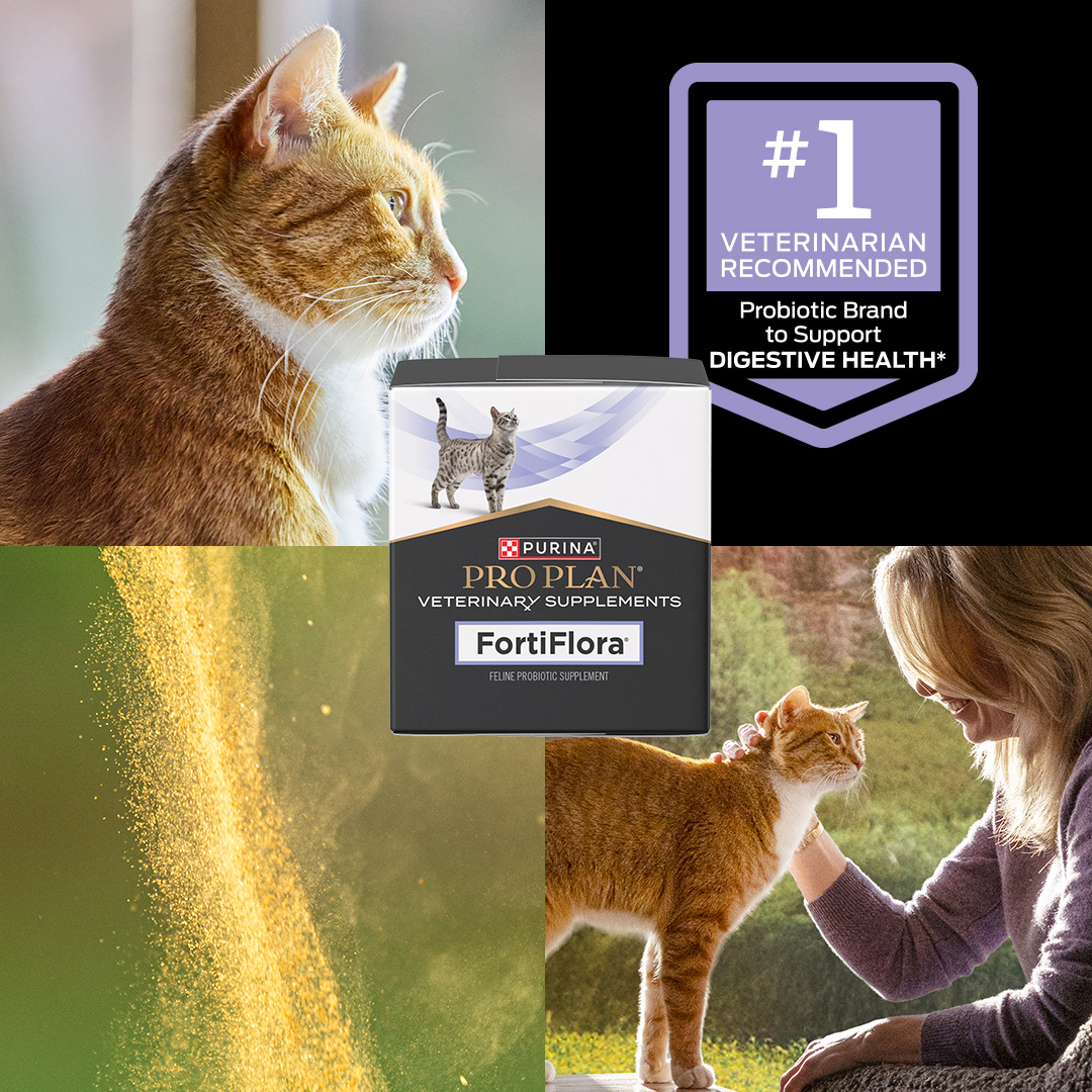 Purina Pro Plan Vet Facebook ad