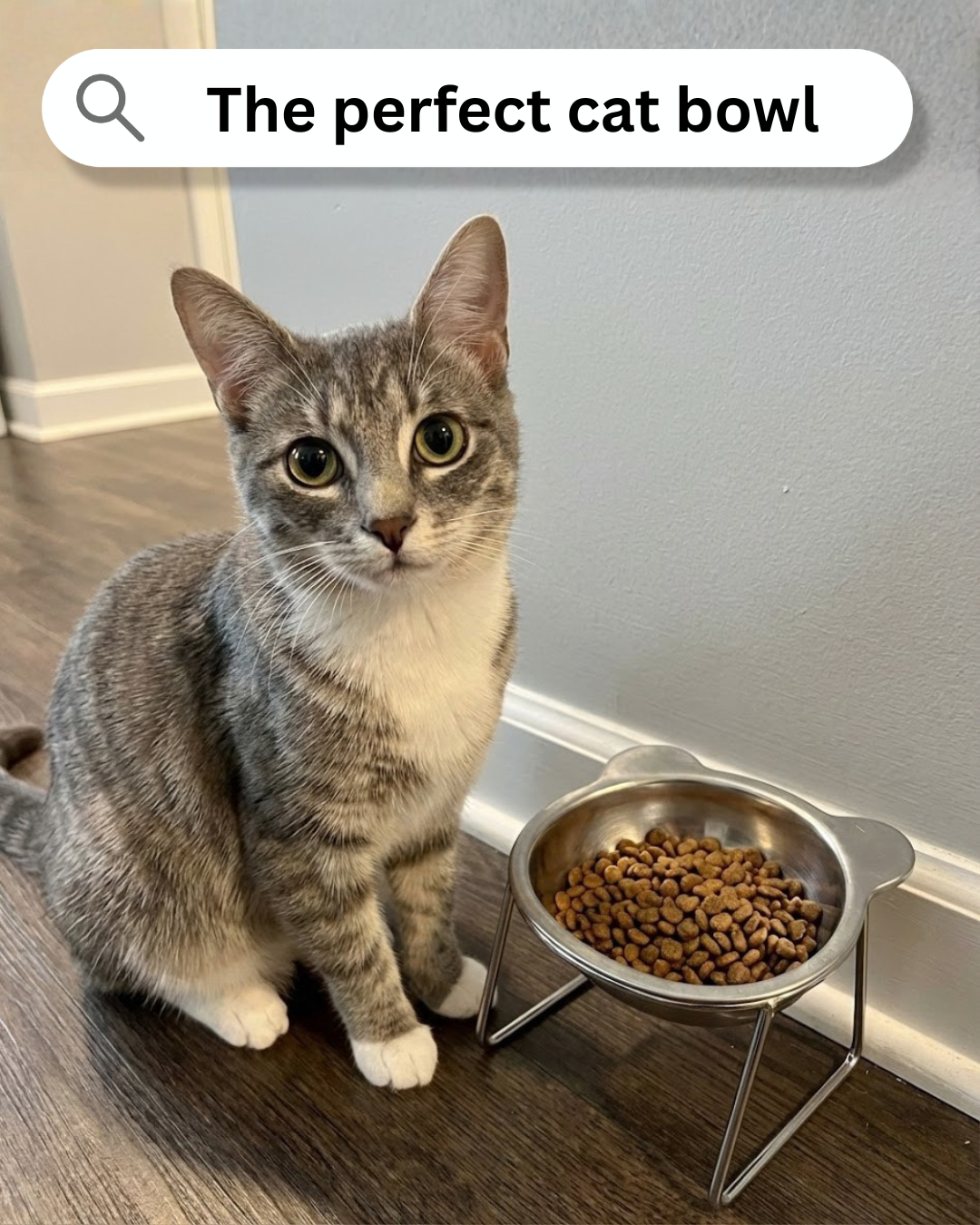 The Friendly Feline Facebook ad: Read this if you still use a standard cat bowl