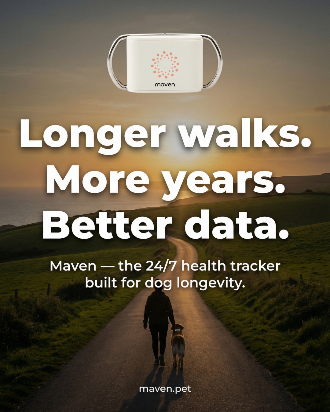 Maven Pet Facebook ad