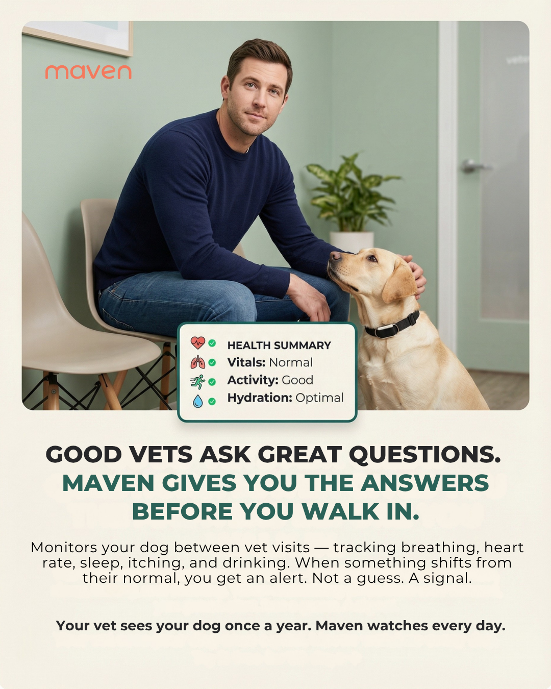 Maven Pet Facebook ad