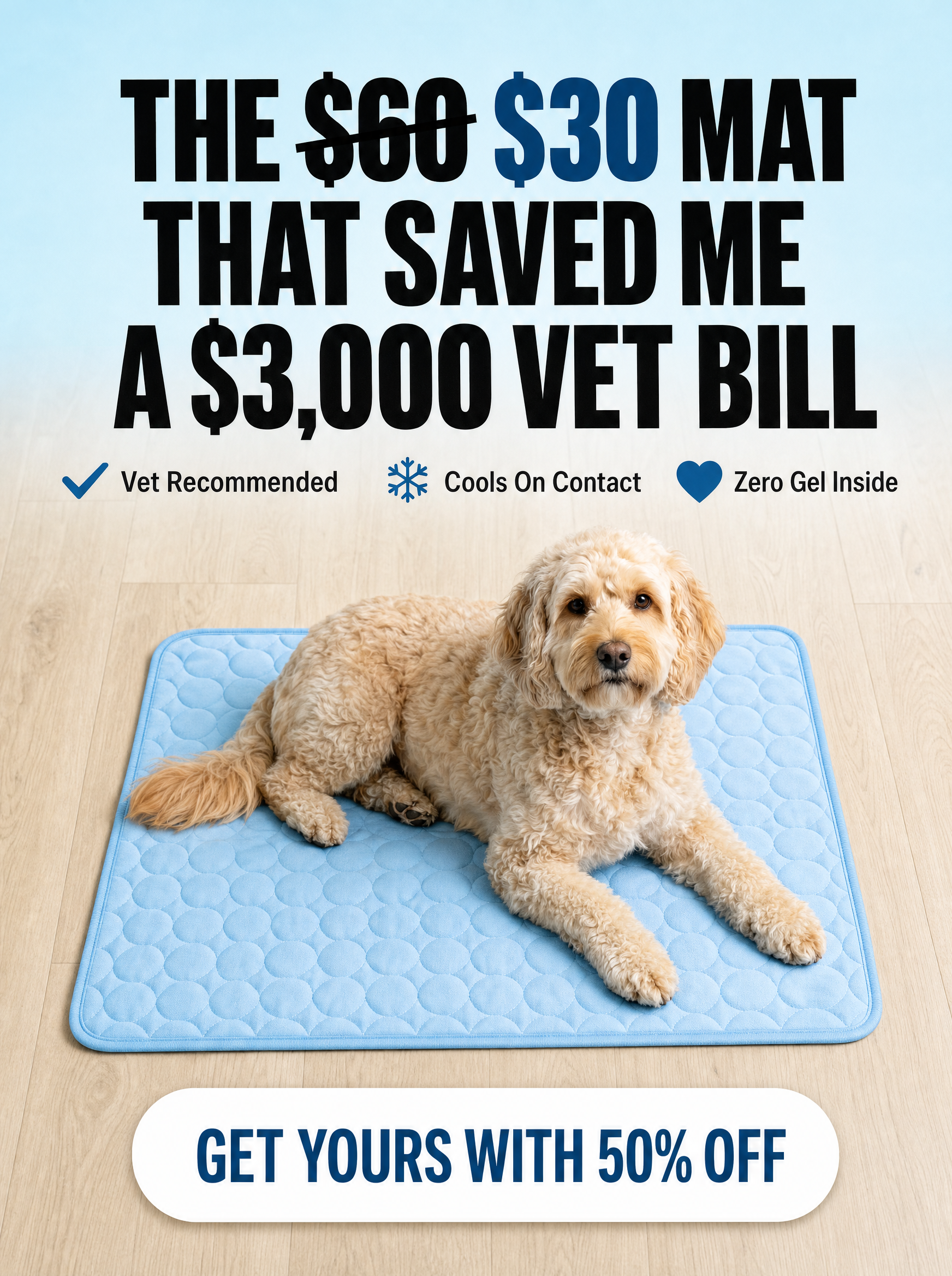 Rhykin Pet Co Facebook ad