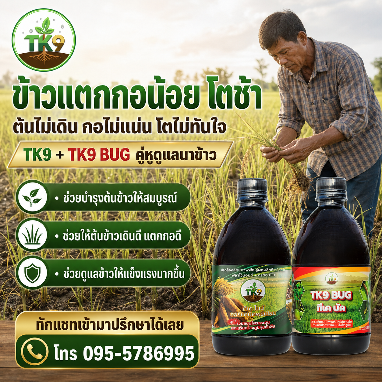 Tk9 นวัตกรรมสารสกัด เพิ่มผลผลิต เร่งโต เสริมสร้างภูมิคุ้มกันพืชในขวดเดียว Facebook ad: ข้าวแตกกอน้อย โตช้า? ทักแชทปรึกษาได้เลย โทร 095-5786995