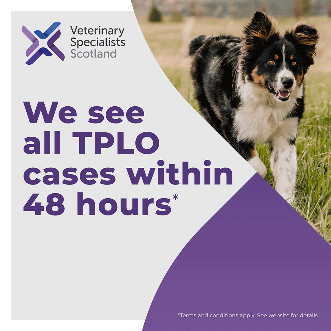 Veterinary Specialists Scotland Facebook ad: View our web page