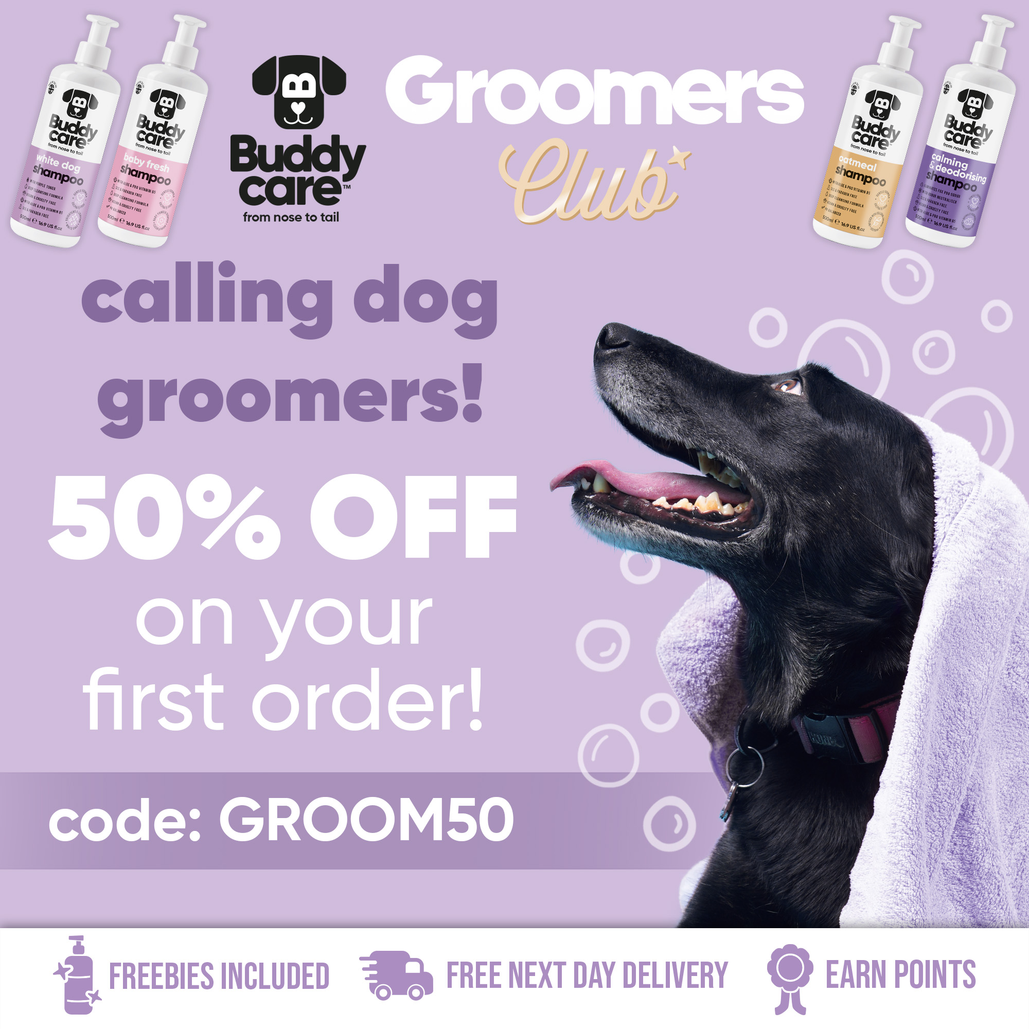Buddycare Grooming Facebook ad