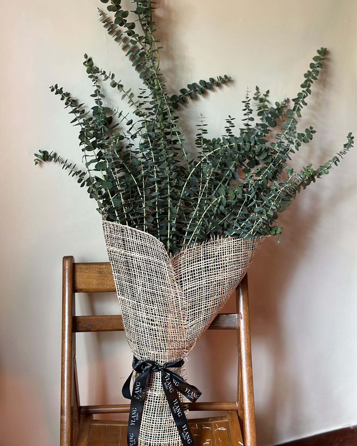 Ylang by Micah Facebook ad: Elevate your home decor with the refreshing scent…