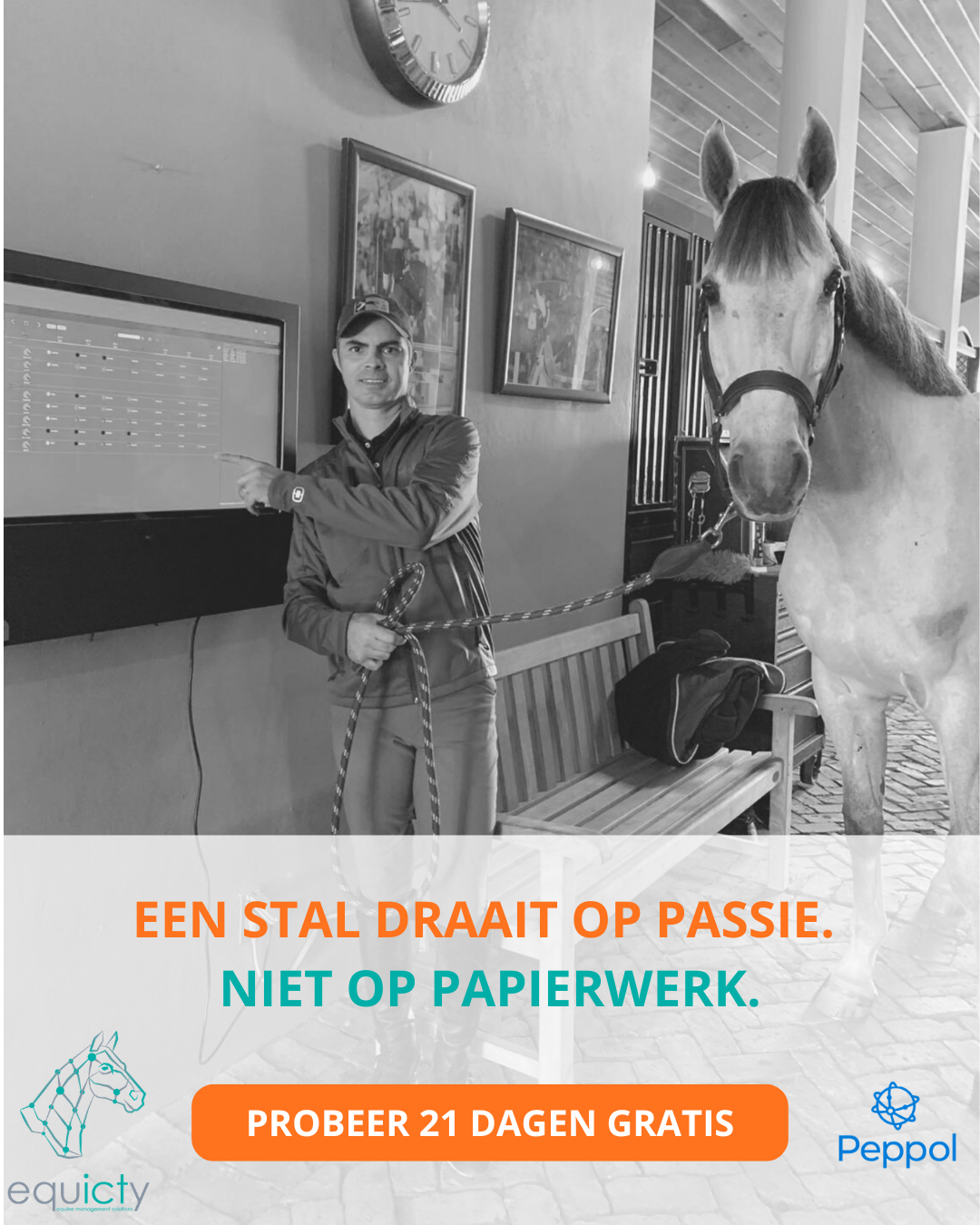 Equicty Facebook ad: Stop met administratie. Focus op de paarden.