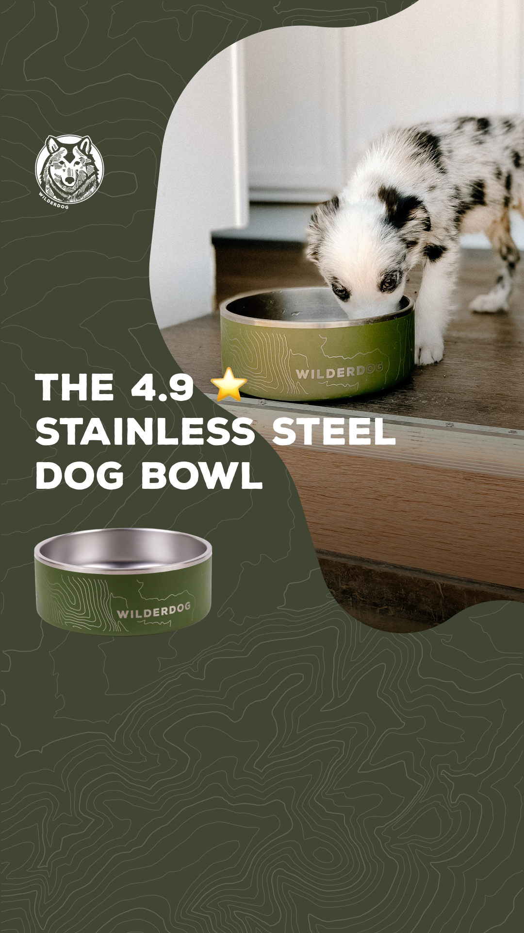 Wilderdog Facebook ad