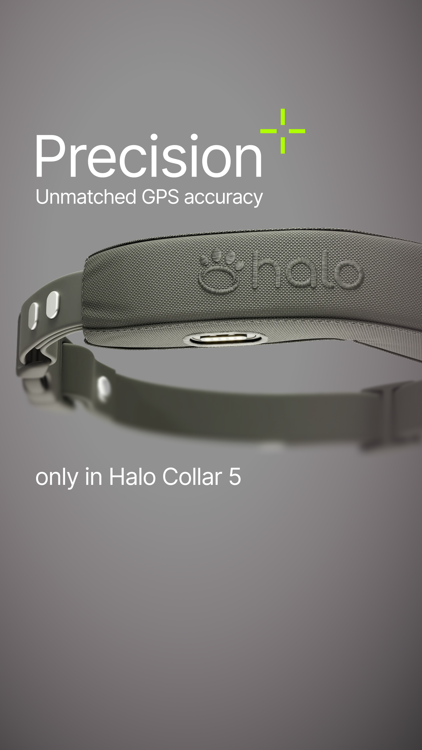 Halo Collar Facebook ad