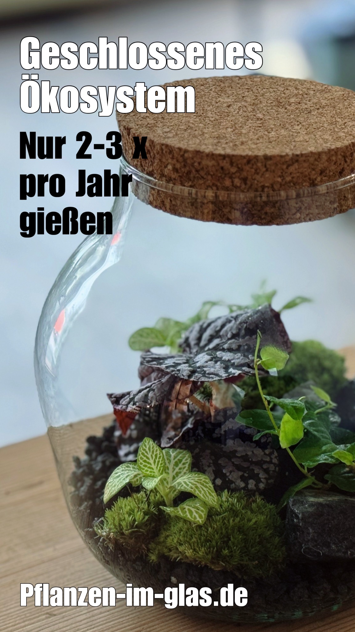 pflanzenimglas Facebook ad