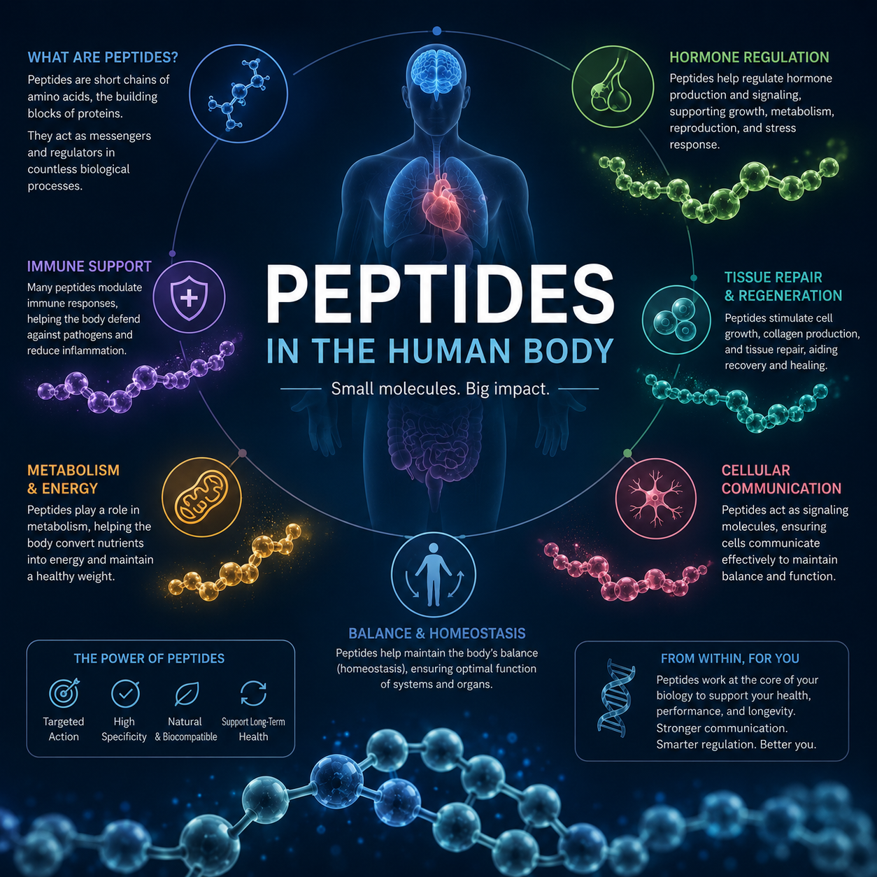 BIO Peptide Technologies Facebook ad: Explore Scientific Quality