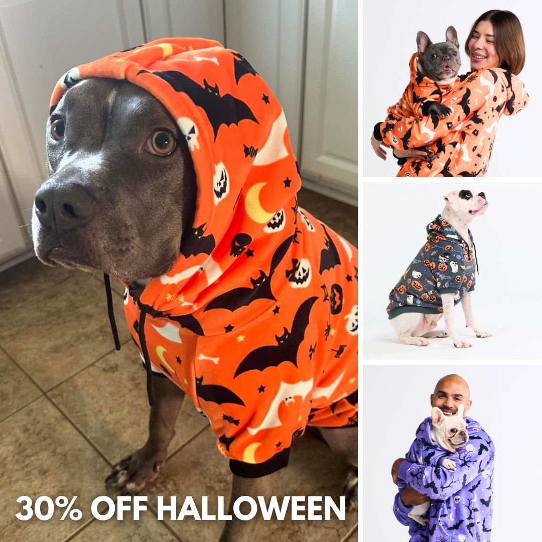 Spark Paws Facebook ad