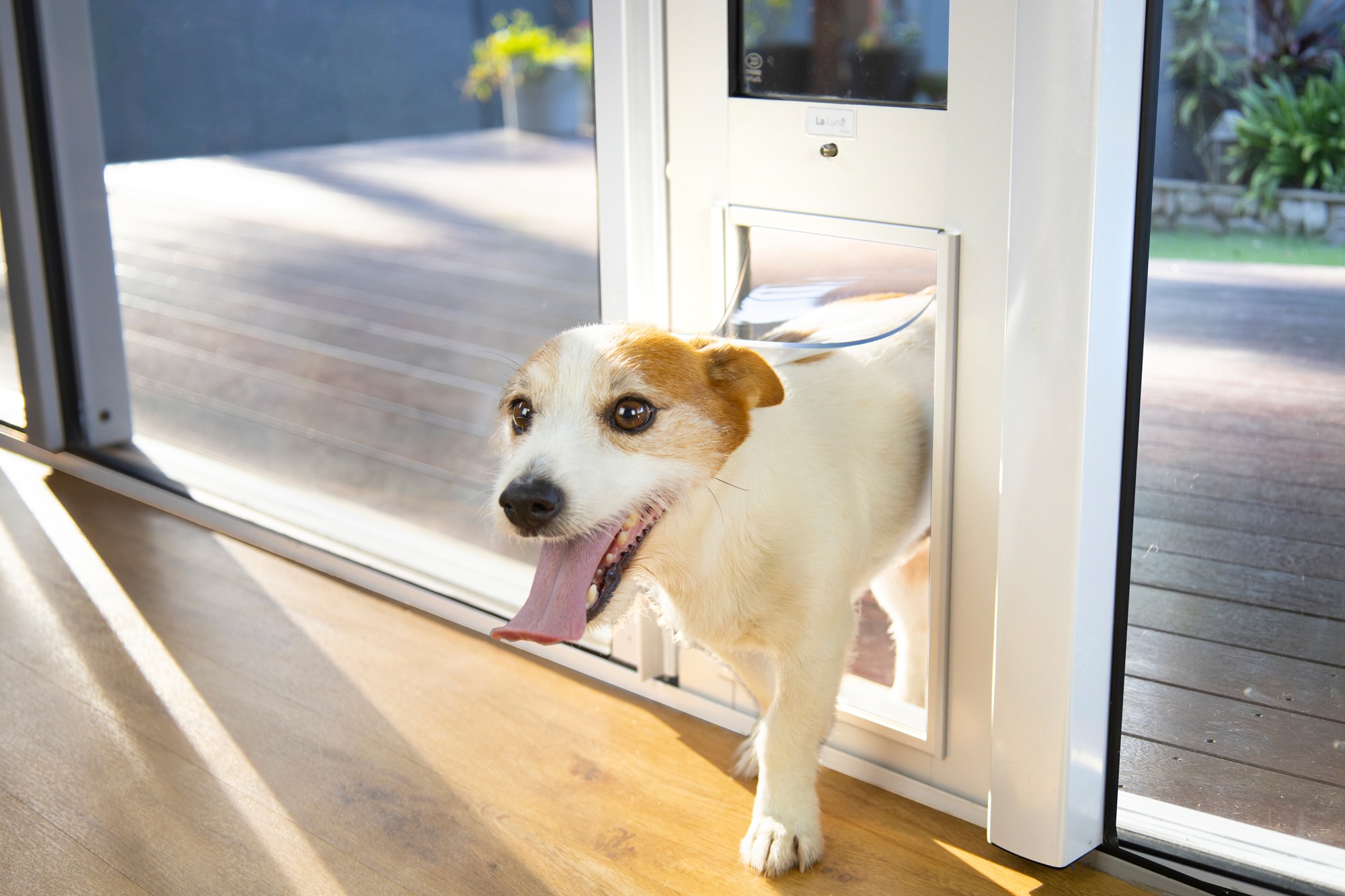 La Luna Pet Care Australia Facebook ad