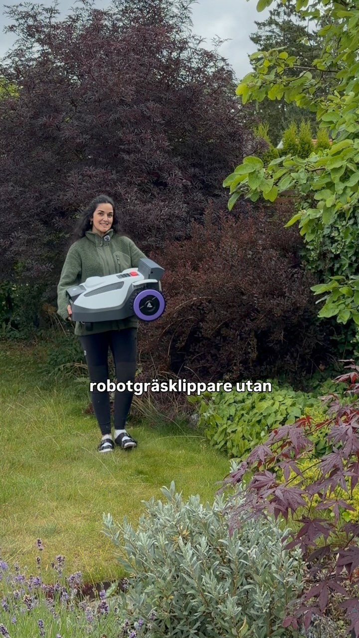 PåNy Facebook ad: Reklam @anthbotnordic