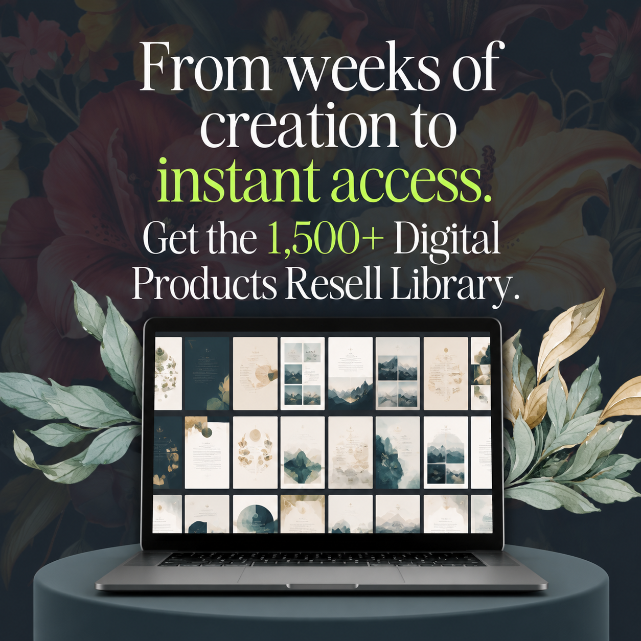 Evelyn Weiss Coaching Facebook ad