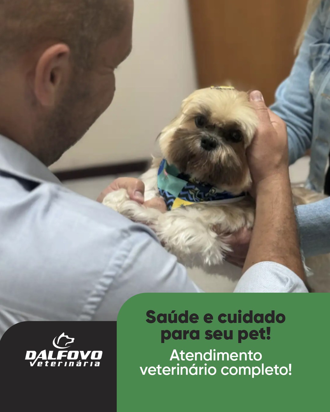 Dalfovo Veterinária Facebook ad: Dalfovo Veterinária (@dalfovoveterinaria) • Instagram…