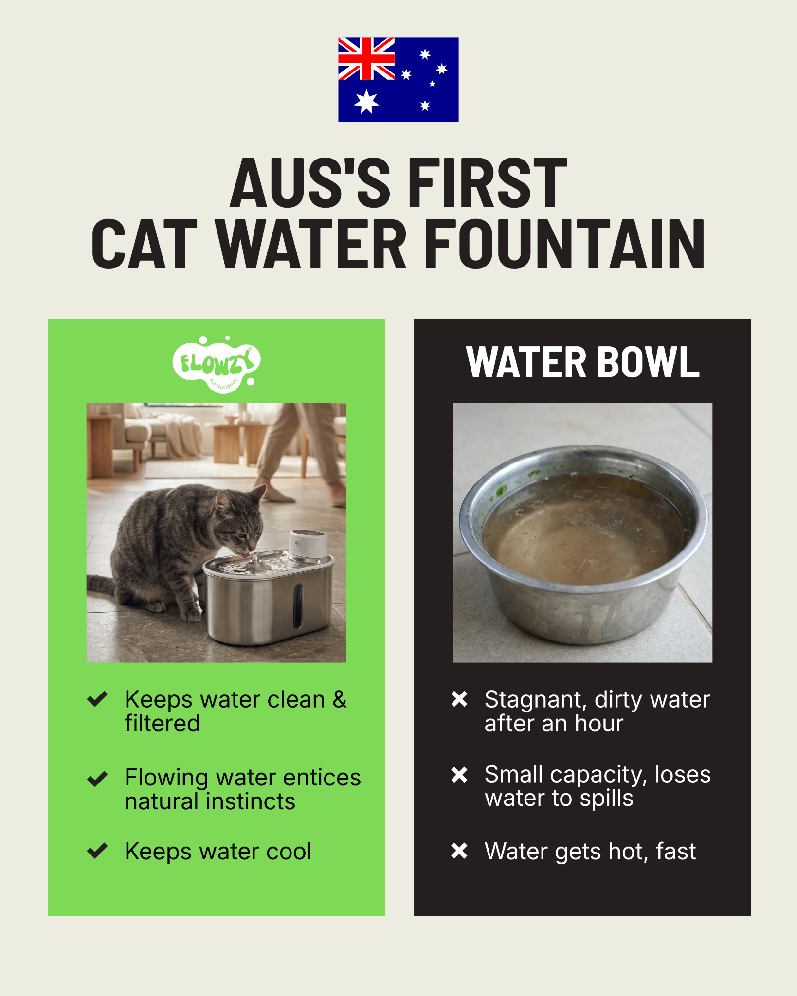 Purr-Pod Facebook ad