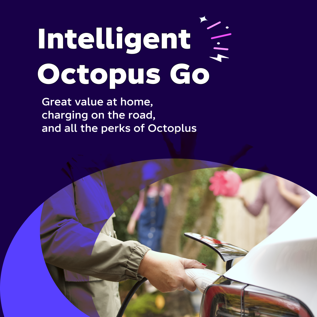 Octopus Energy Facebook ad