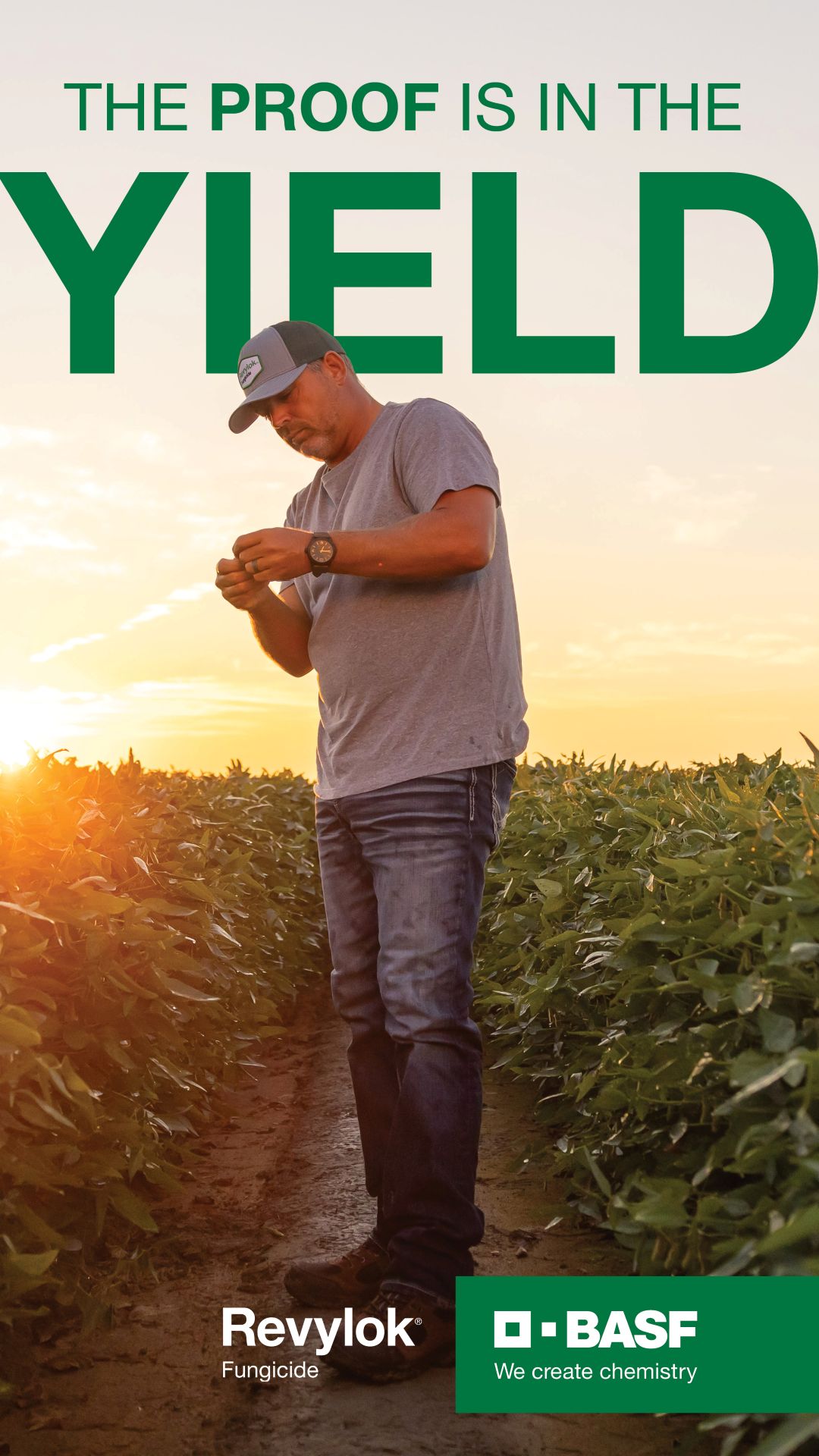 BASF Agricultural Solutions Facebook ad