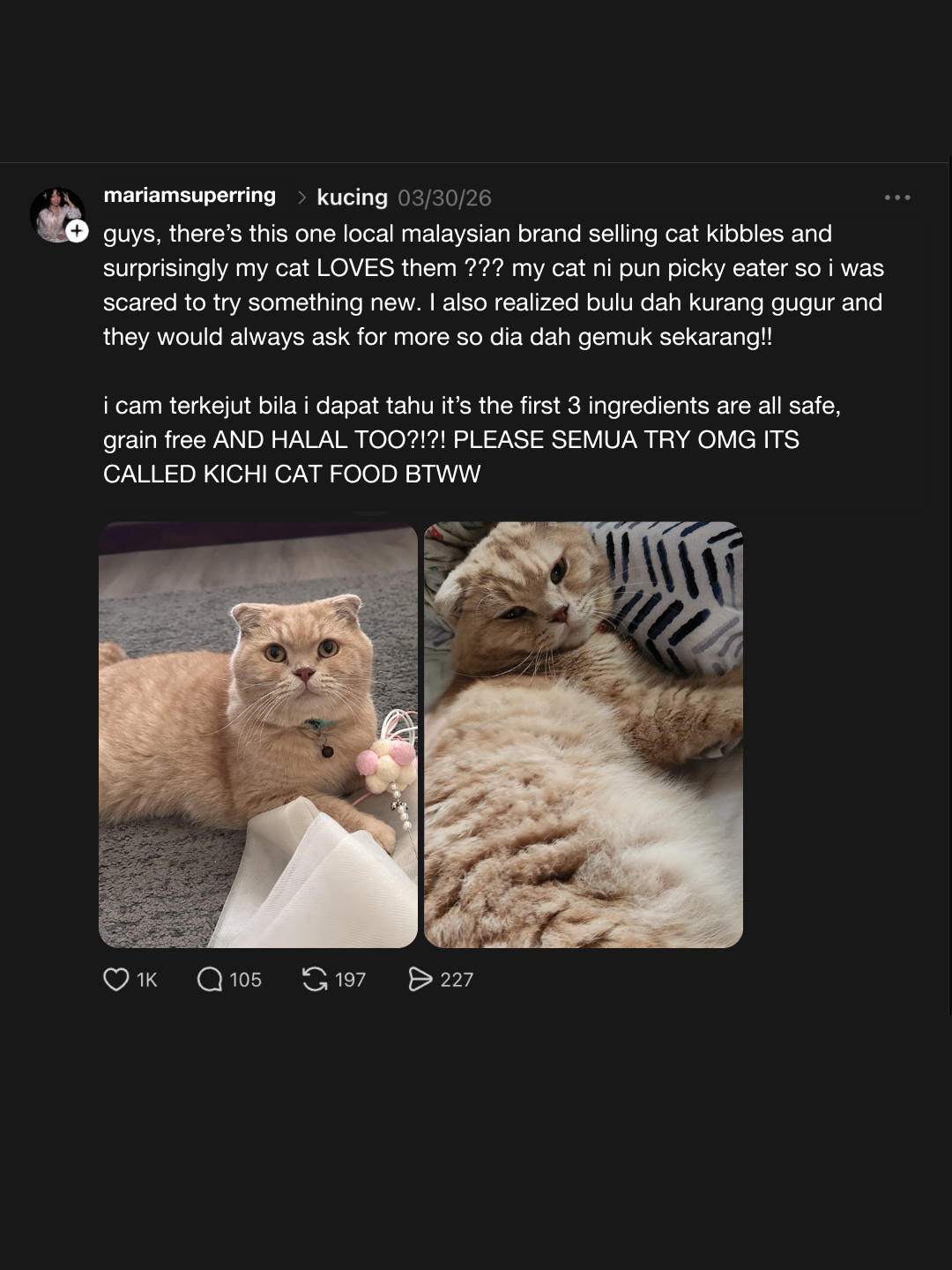 Kichi Cat Food Facebook ad