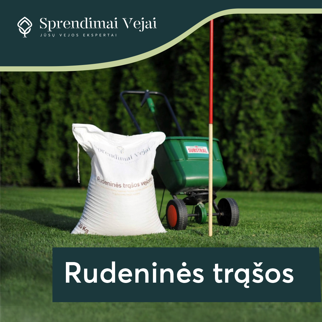 Sprendimai Vejai Facebook ad: Užsisakykite rudenines trąšas vejai