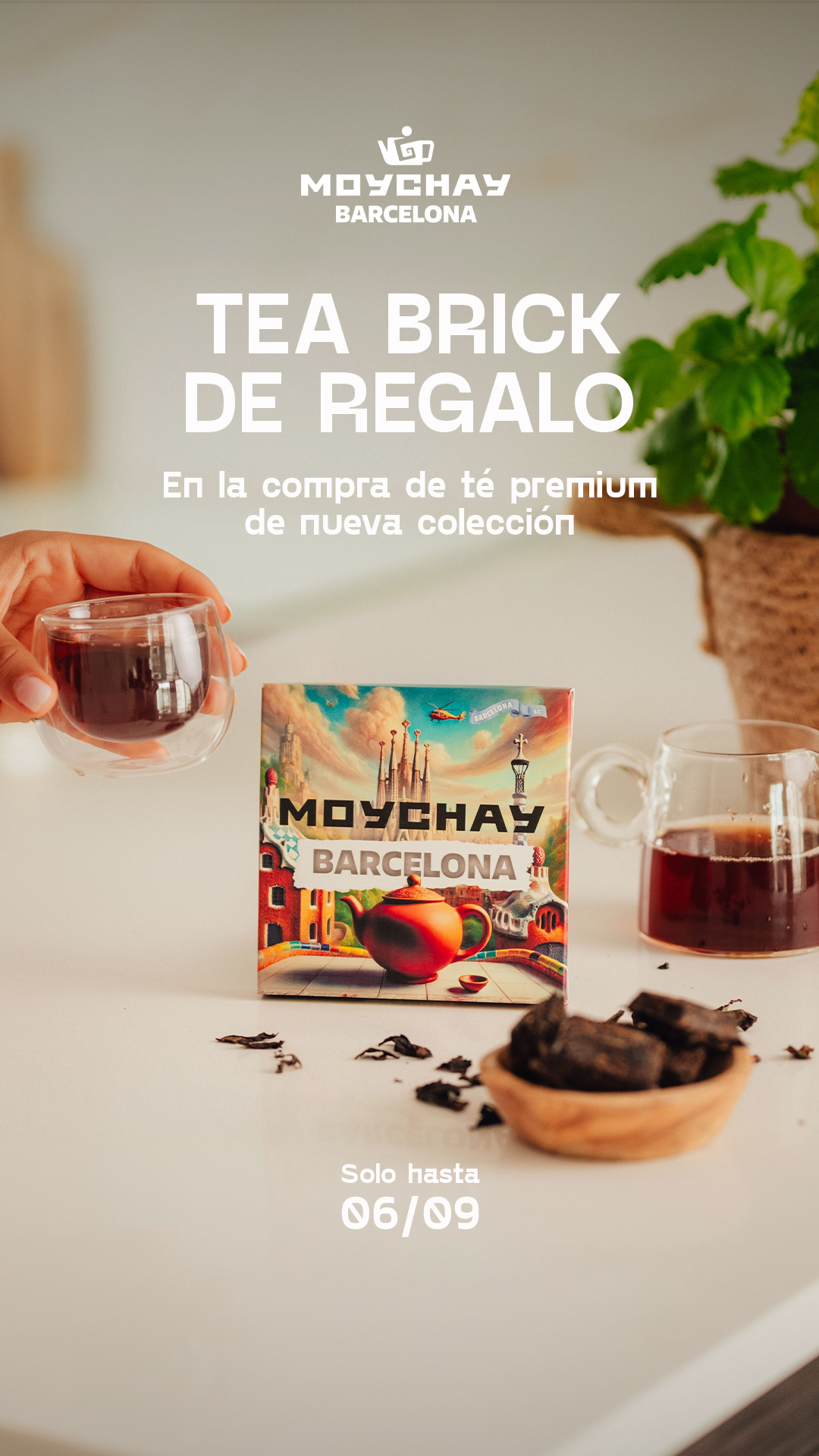 Moychay Barcelona Club de Té Facebook ad: Tea Brick de Regalo con tu té de nueva colección