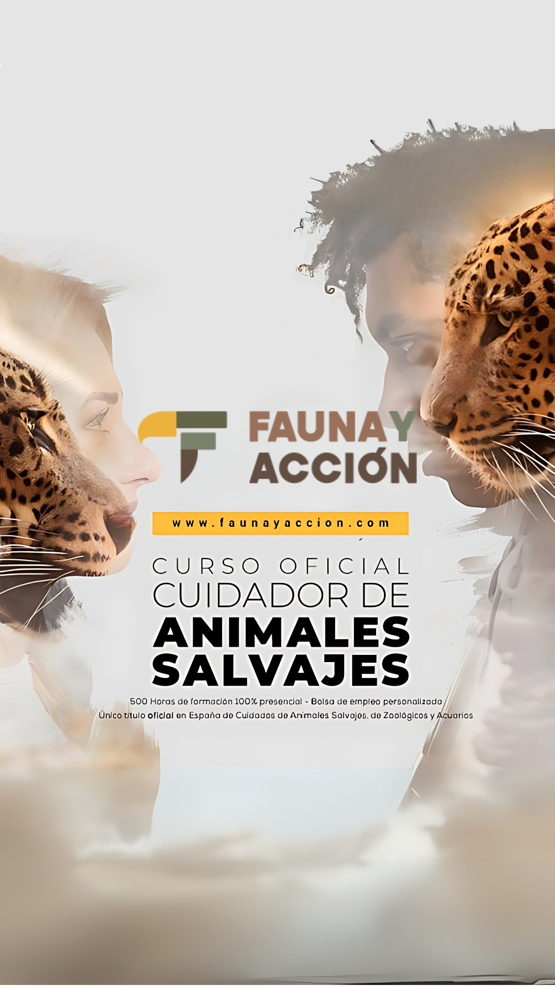 Faunayacción Animalesdecine Facebook ad from Feb 19, 2026