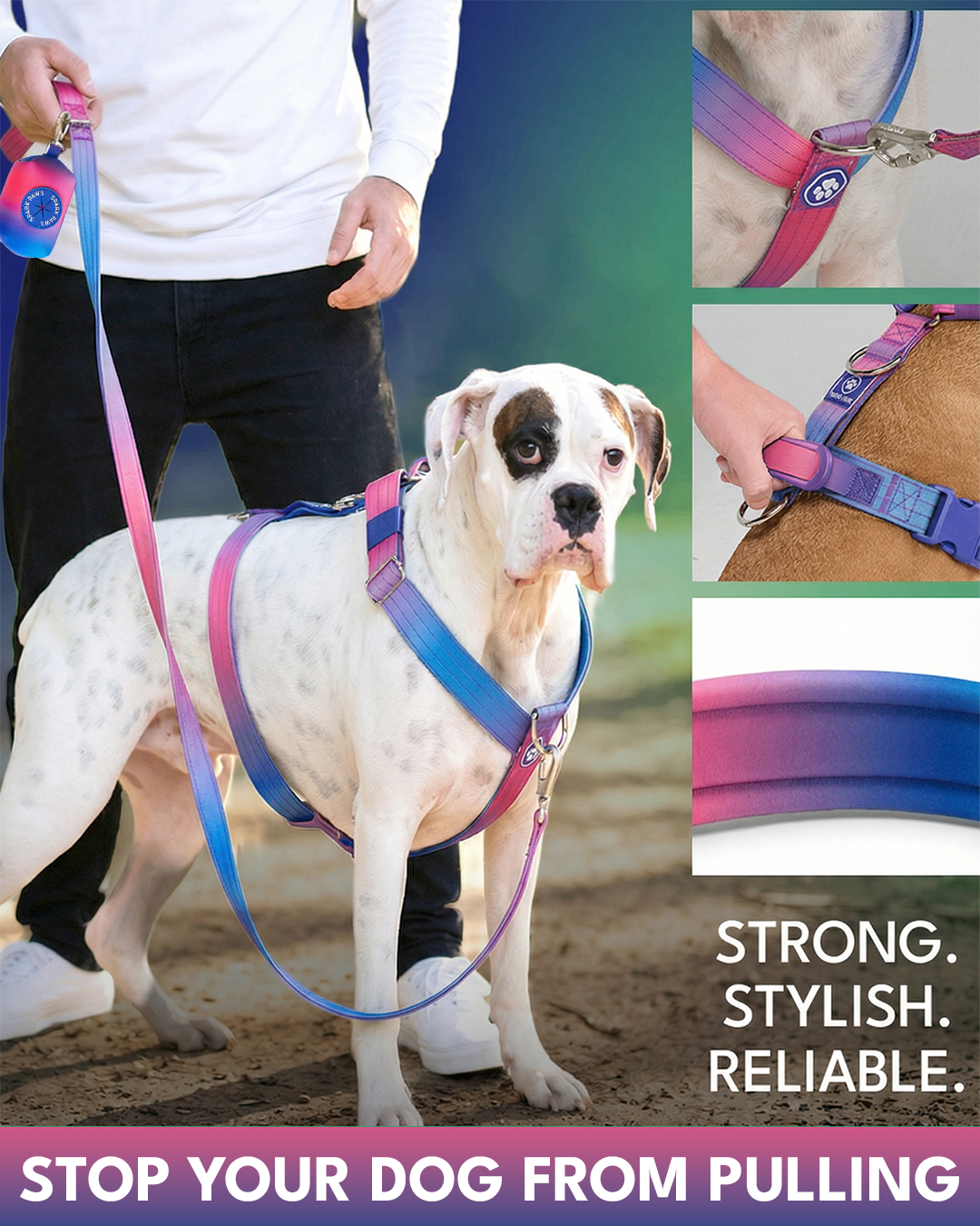 Spark Paws Facebook ad