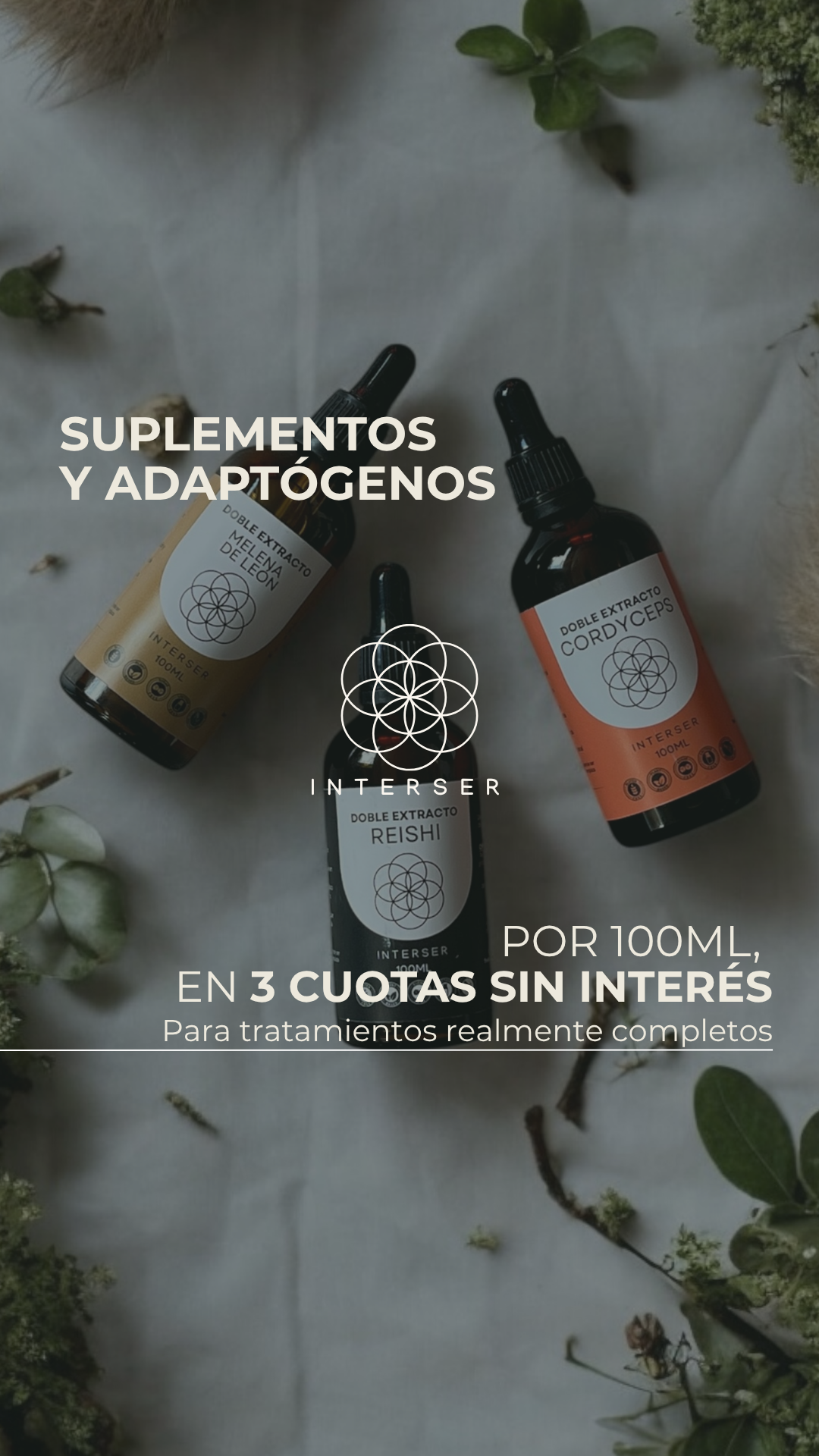 InterSer Facebook ad