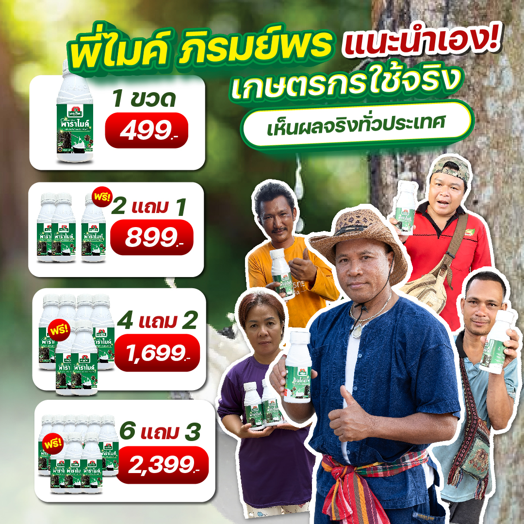 พาราไมค์ ปุ๋ยทาหน้ายางโดยไมค์ ภิรมย์พร โทร082-747-7151 Facebook ad: หน้ายางตายนึ่ง เปลือกแข็ง กรีดยาก?